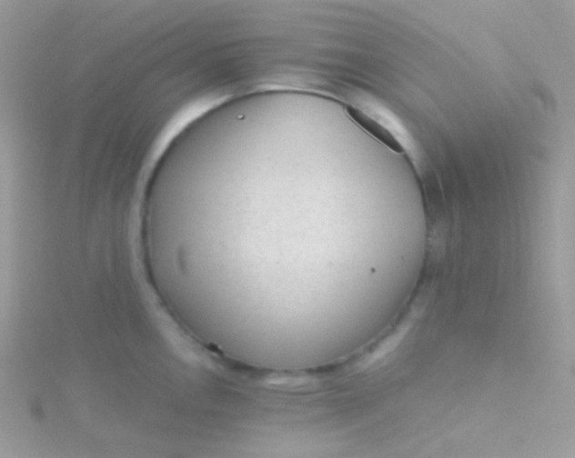 X0000115601146200911241550