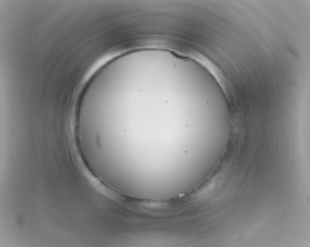 X0000115601147200911241550