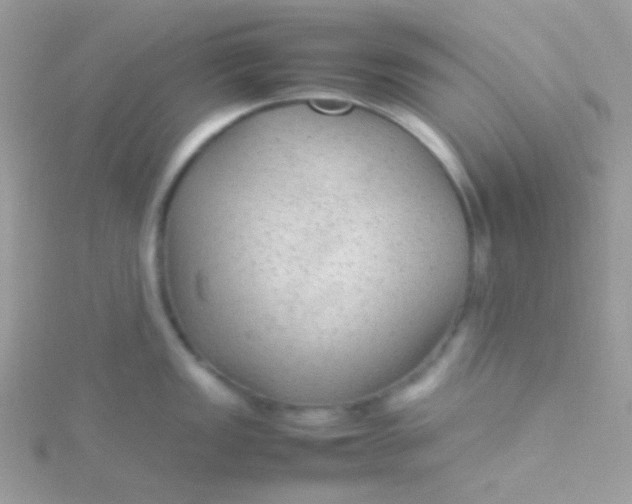 X0000115601149200911241550