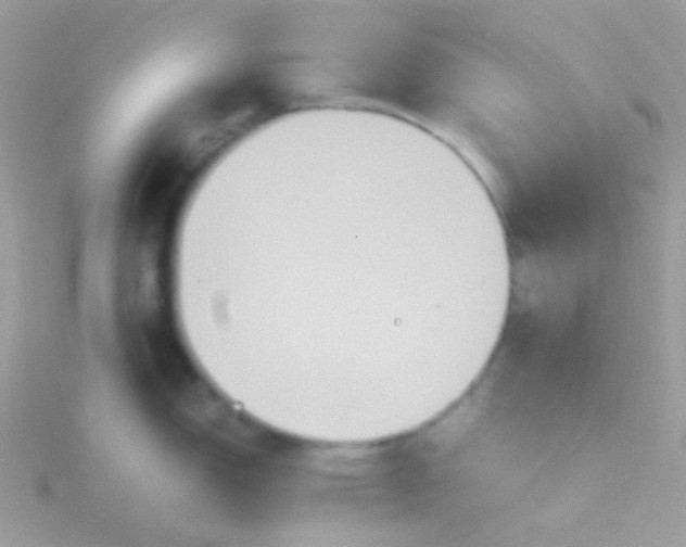 X0000115601150200911241550