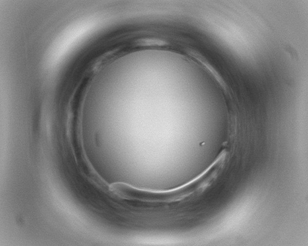 X0000115601151200911241550