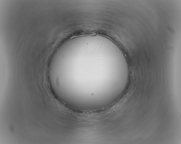 X0000115601153200911241549