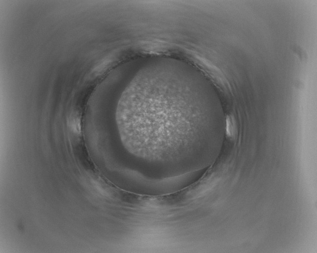 X0000115601155200911241549