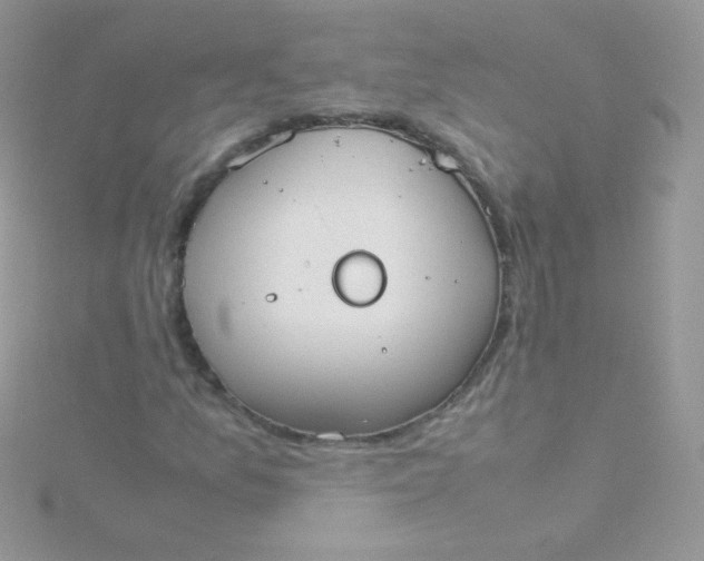 X0000115601157200911241549