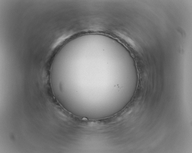 X0000115601160200911241549