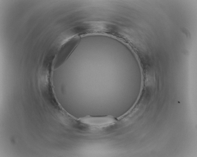 X0000115601161200911241549