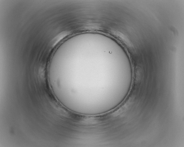 X0000115601162200911241549