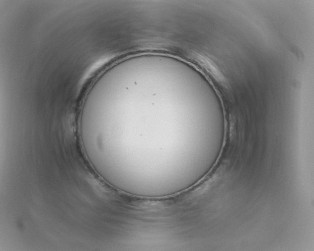 X0000115601164200911241549