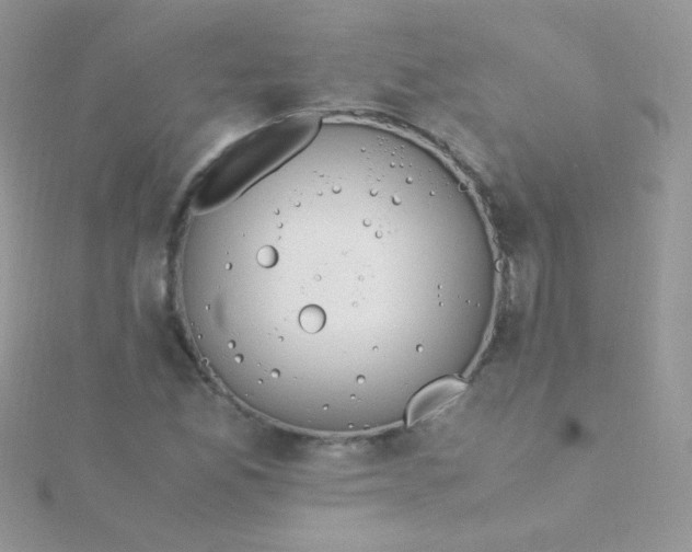 X0000115601165200911241549