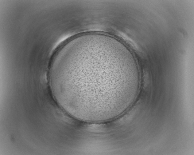 X0000115601166200911241549