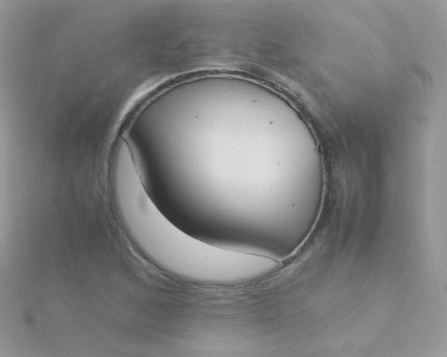 X0000115601168200911241549