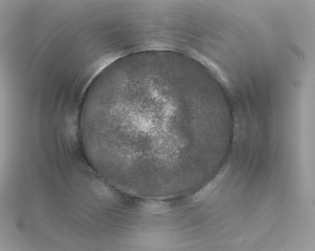 X0000115601170200911241549