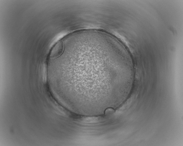 X0000115601171200911241549