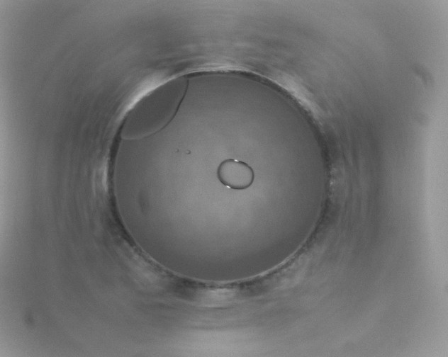 X0000115601173200911241549