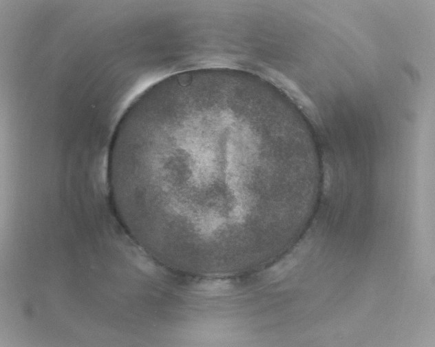 X0000115601174200911241549