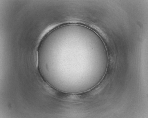 X0000115601175200911241549