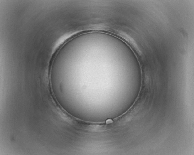 X0000115601176200911241549