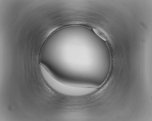 X0000115601177200911241549