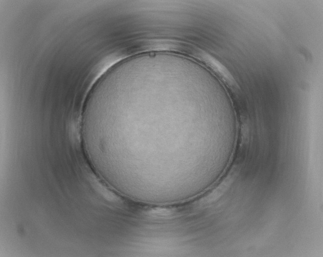 X0000115601178200911241549