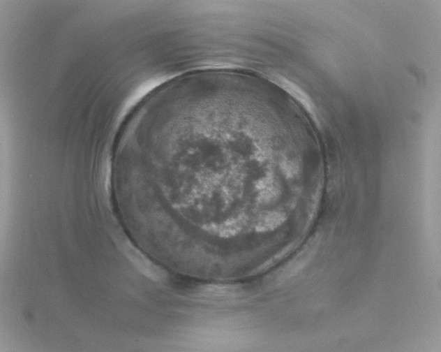 X0000115601179200911241549