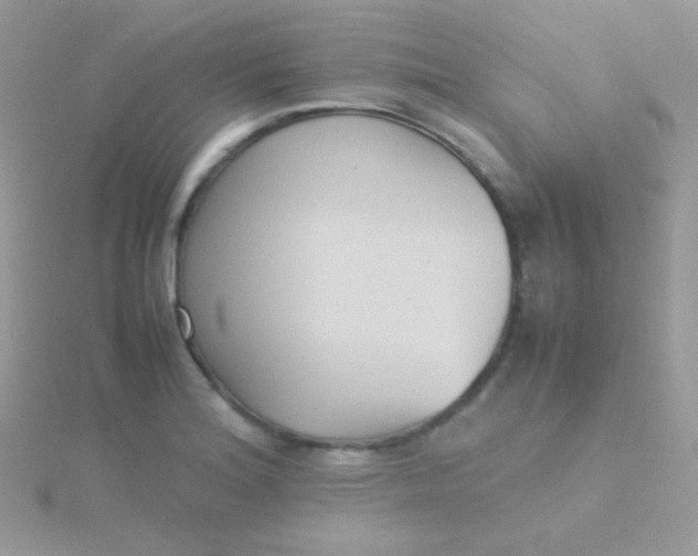 X0000115601180200911241549