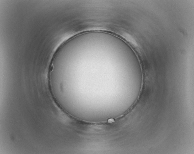 X0000115601181200911241549