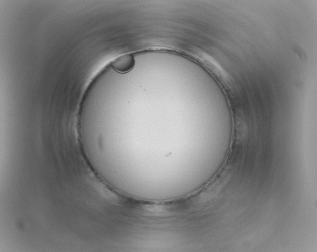 X0000115601182200911241549