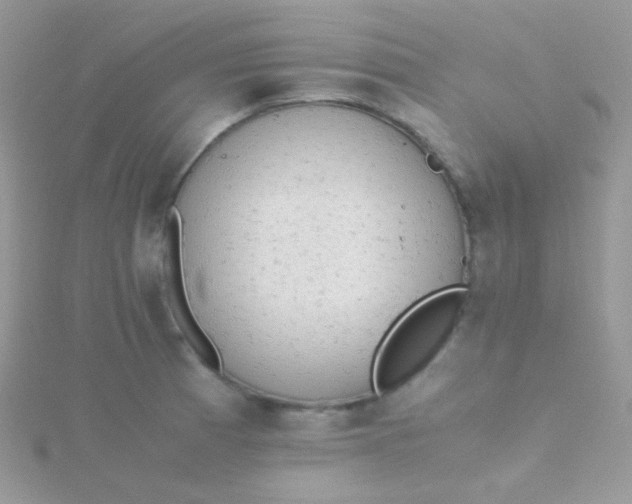 X0000115601185200911241549