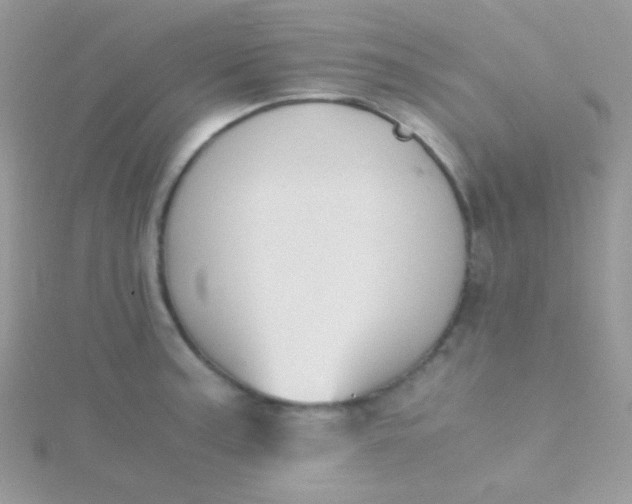 X0000115601187200911241549