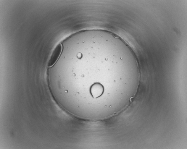 X0000115601189200911241549