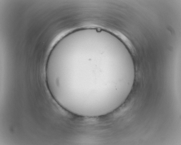 X0000115601191200911241549