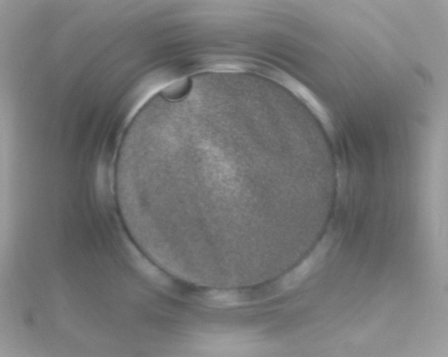 X0000115601194200911241548