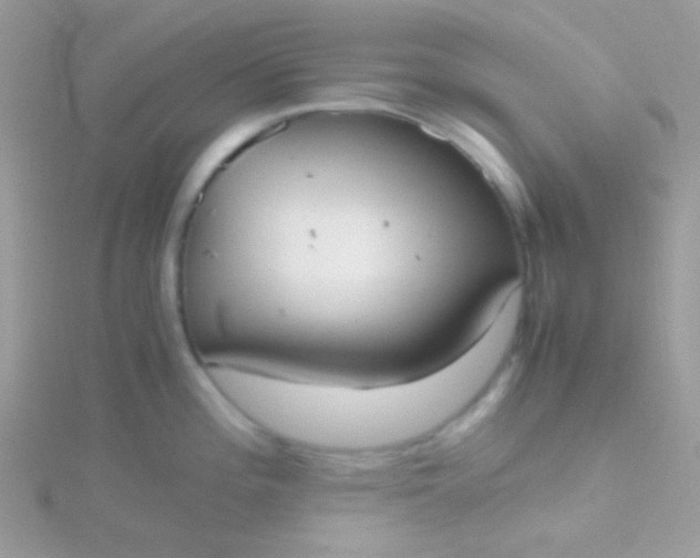 X0000115601196200911241548