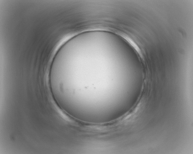 X0000115601197200911241548