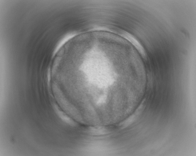 X0000115601198200911241548