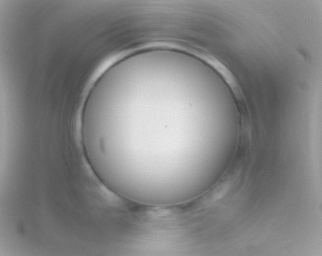 X0000115601199200911241548