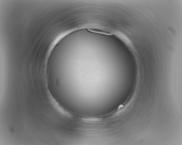 X0000115601200200911241548