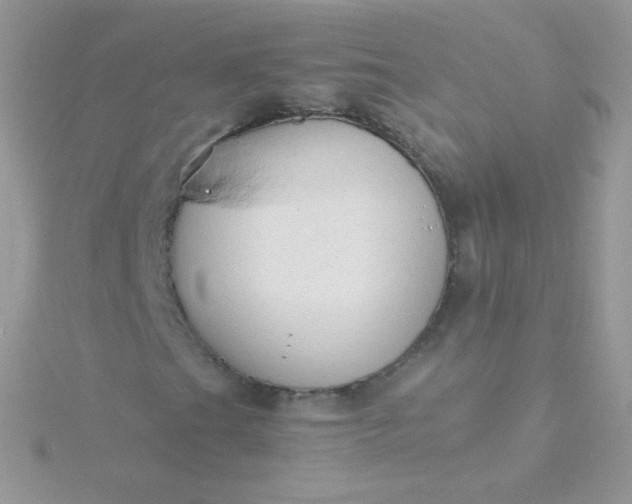 X0000115601201200911241548