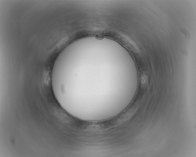 X0000115601204200911241548