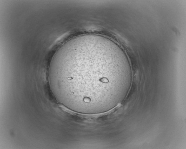 X0000115601205200911241548