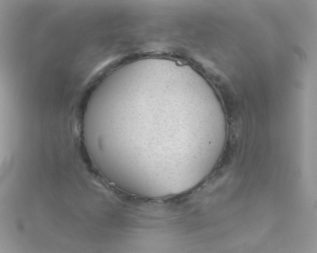 X0000115601206200911241548