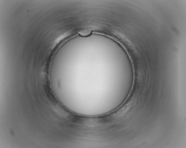 X0000115601210200911241548