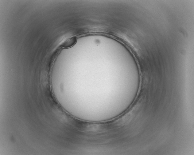 X0000115601211200911241548