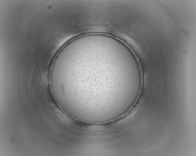 X0000115601212200911241548