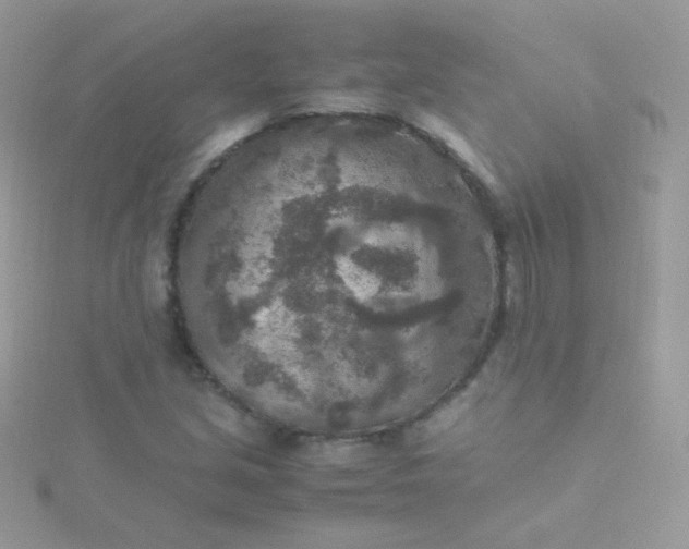 X0000115601213200911241548