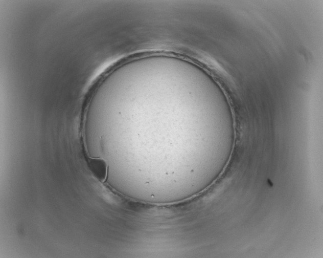 X0000115601216200911241548