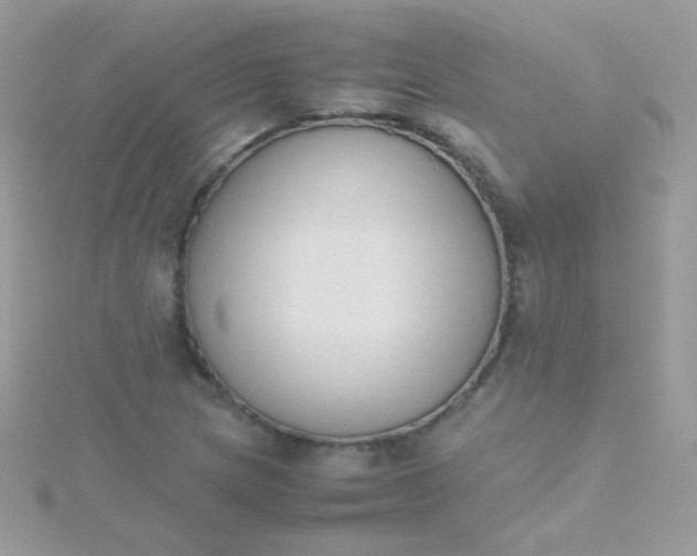 X0000115601217200911241548