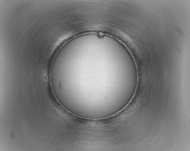 X0000115601218200911241548