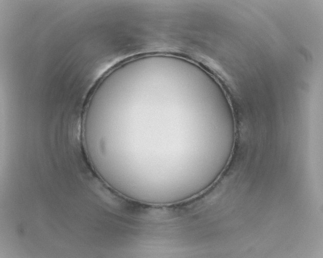 X0000115601220200911241548