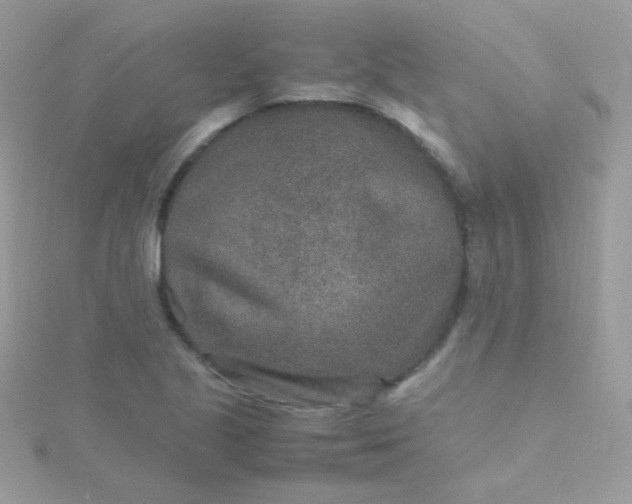 X0000115601221200911241548